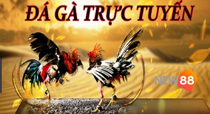 Tải xuống Av88 Games và bắt đầu chơi ngay! - Av88